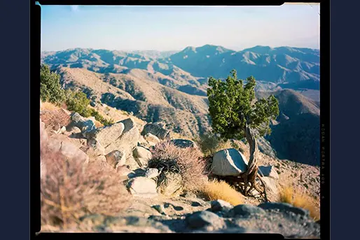 Large Format High End Scanning